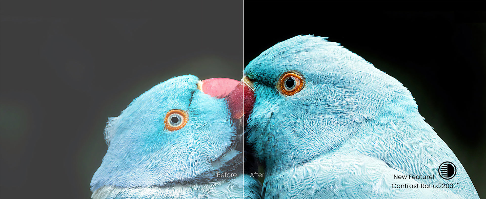 Before and after comparison of AWOL Vision LTV-3500 Pro showing enhanced black levels with a 2200:1 contrast ratio.