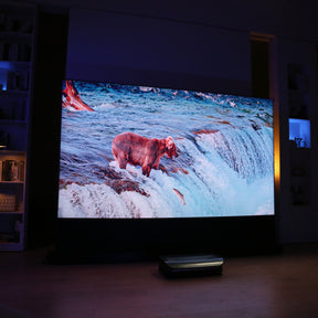 Bear catching fish in a river, showcased on AWOL Vision's large projector screen in a cozy home theater setup.