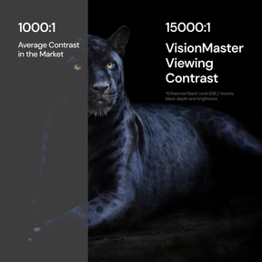 Black panther contrast test comparing average model to Valerion VisionMaster Pro2 4K HDR IMAX Enhanced long throw projector with 15000:1 contrast.