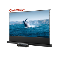 LTV-3000 Pro Plus 100''-130'' AWOL Vision Acoustic ALR Floor Rising Screen Bundle